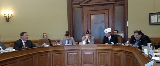 Veterans in State Affairs Committee.JPG