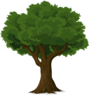 tree-576847_960_720.png