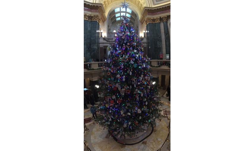 capitoltree2.PNG