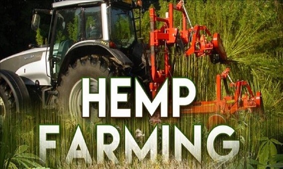 Hemp Farming.jpg