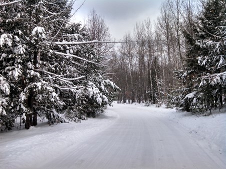 Snow Mobile Trail_2.jpg