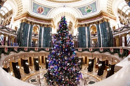 Capitol Christmas tree.jpg