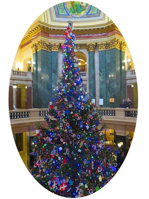 Capitol Christmas Tree.jpg