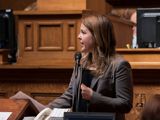 State Repreentative Dianne Hesselbein speaks on the floor of the assembly. She is a white woman with medium brown hair wearing a grey blazer. There is a microphone attached to the lectern in front of her that she is speaking into.