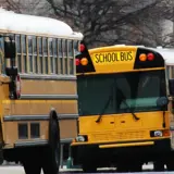 School buses line up the road on a snowy day.