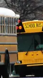 School buses line up the road on a snowy day.