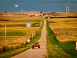 An image of a farm vehicle driving on a rural road between corn fields